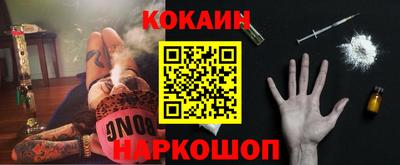сатива Новозыбков