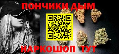 сатива Новозыбков