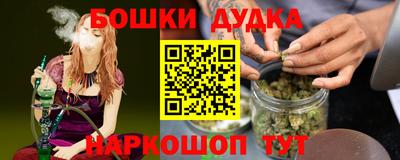 сатива Новозыбков