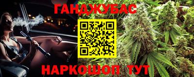 амф Новодвинск