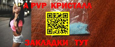 сатива Новозыбков