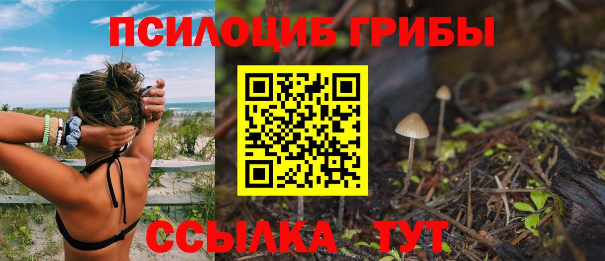 Псилоцибиновые грибы MAGIC MUSHROOMS  Вход с VPN  Соликамск  купить закладку  Галлюциногенные грибы Psilocybine cubensis 