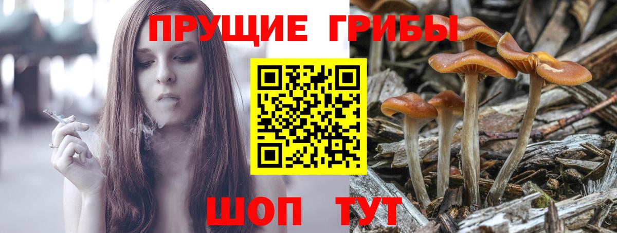 Галлюциногенные грибы прущие грибы Соликамск